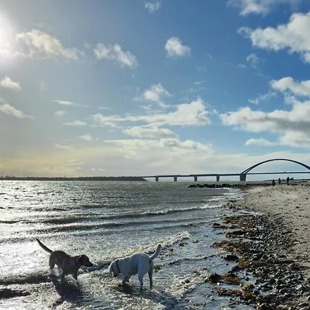 Ferienresidenz Haus Vogelflug Strandleev3 App 3 Апартаменты Фемарн